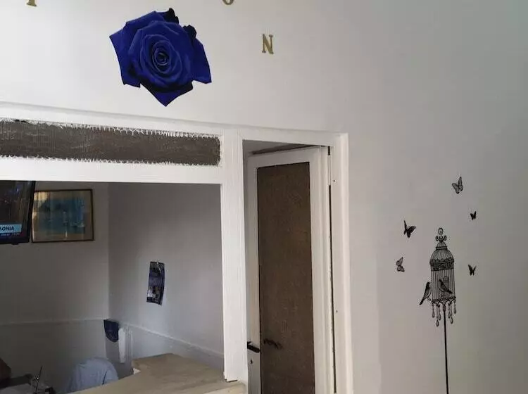 پانسیون Rodon