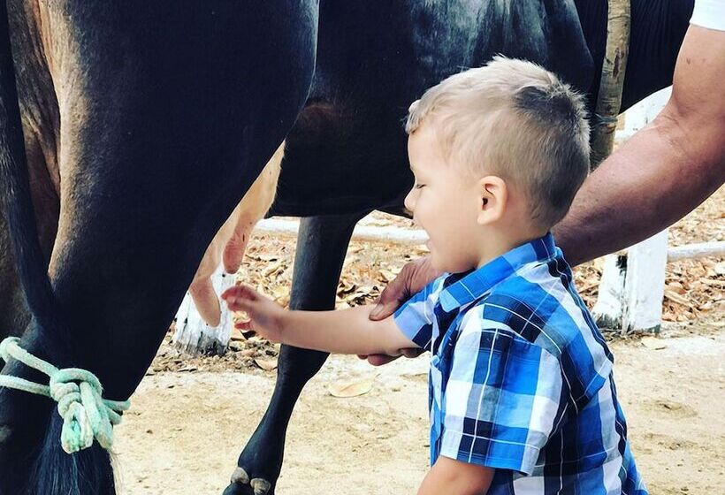 Pousada 3j Hotel Fazenda