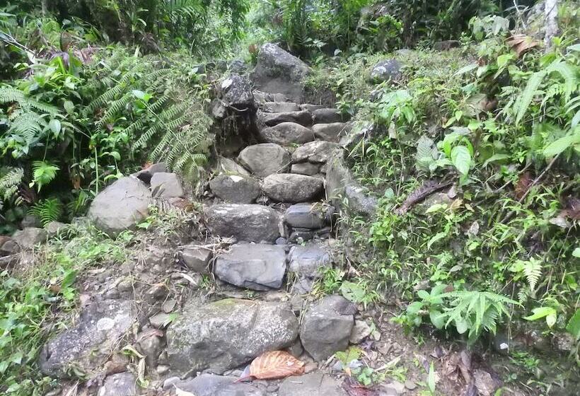 Tunky Wasi Sapan Sachayoc Hostel