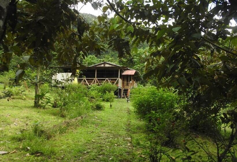 Tunky Wasi Sapan Sachayoc Hostel