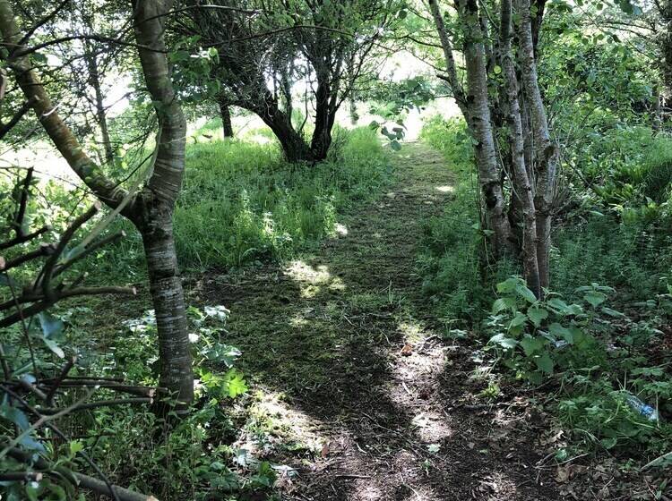 Westport Coastal Lodge