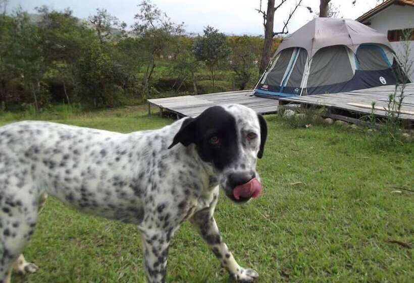 Alberg Procamp Glamping Villa De Leyva