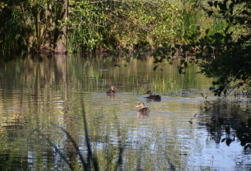 مبيت وإفطار Au Moulin Brun