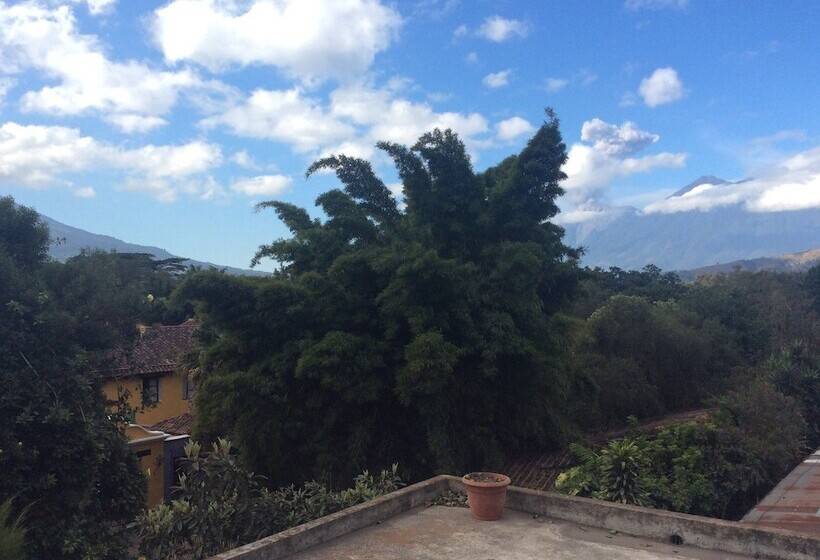 تختخواب و صبحانه Casa Vista Bella