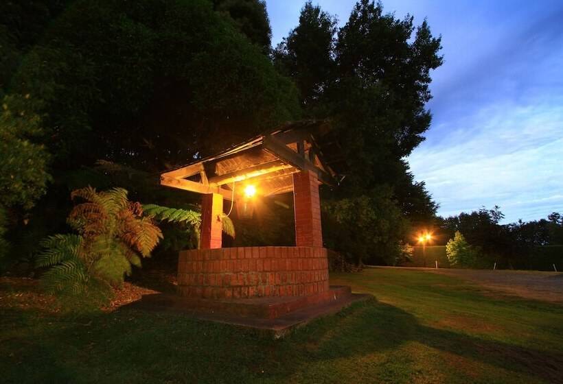 Cabañas Araucarias Del Sur