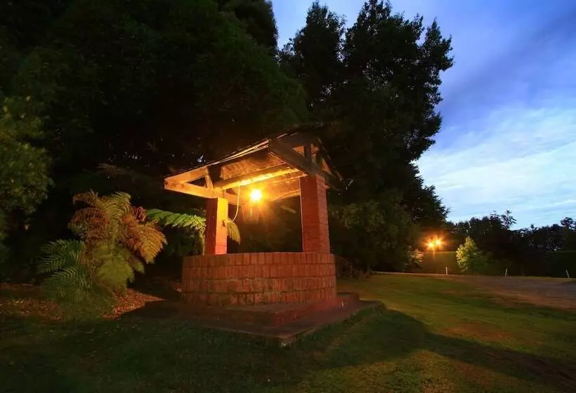 Cabañas Araucarias Del Sur