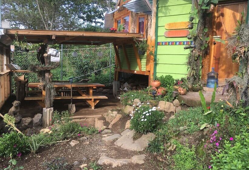 Casa Soul Tipico Hostel