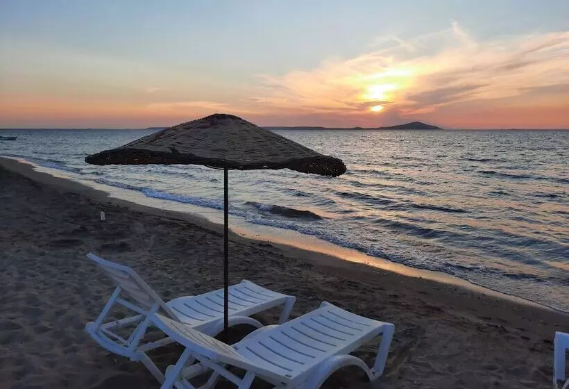 Eksen Otel Geyikli