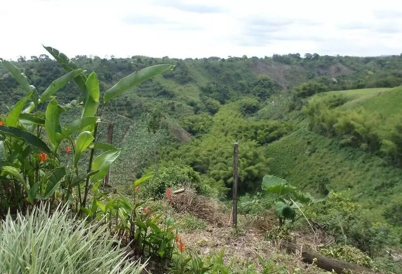 Finca Hotel Cafetos