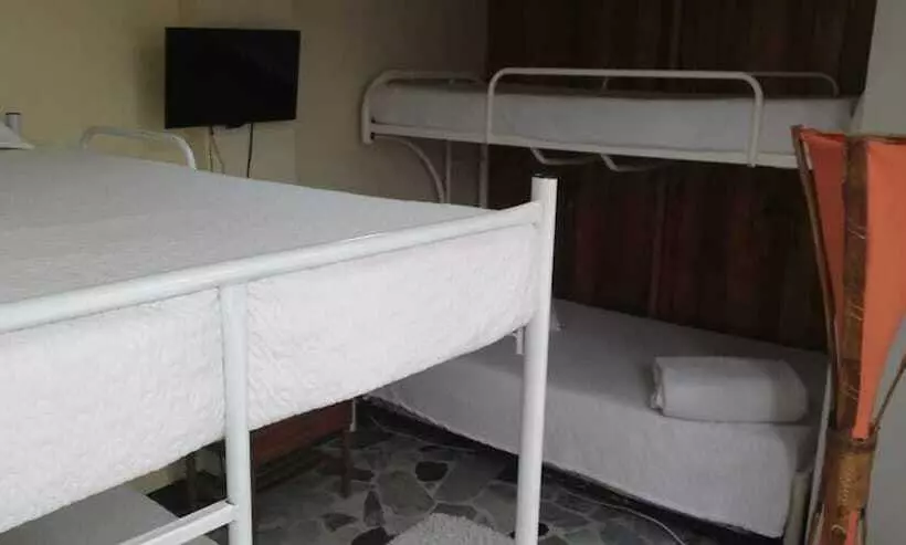 Hostal Apolo Manizales   Hostel