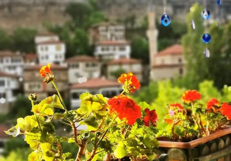 ホテル Cesmeli Konak Garden