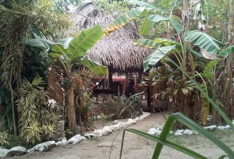 هتل Coco Cabañas