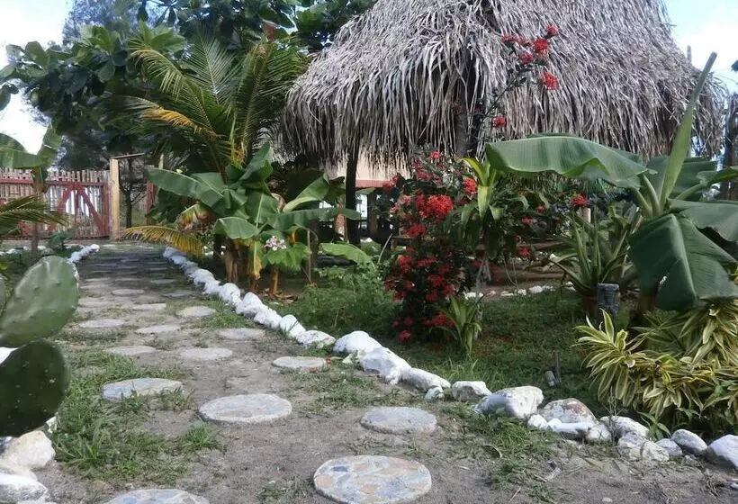 هتل Coco Cabañas