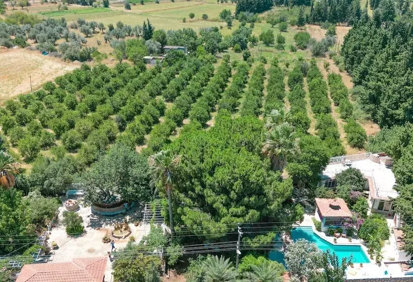Hotel Dort Mevsim Evi