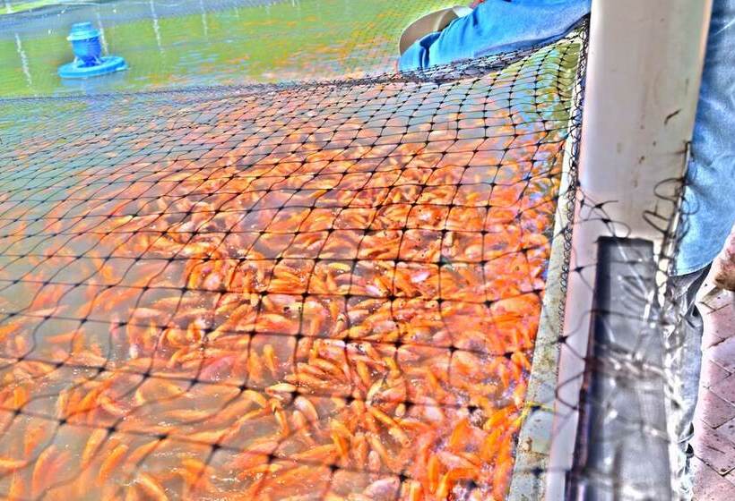 Hotel Lagos Mar Espinal