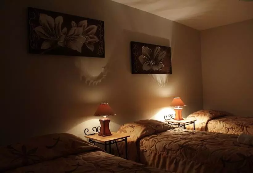 ホテル Las Flores   Cañete