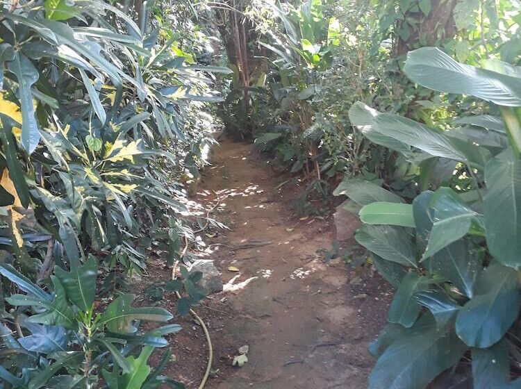 هتل Modus Vivendi