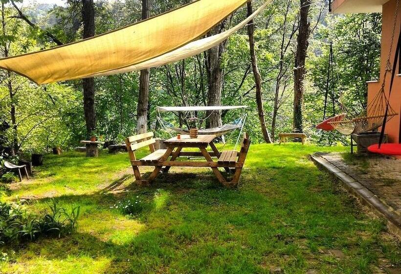 فندق The High Trees