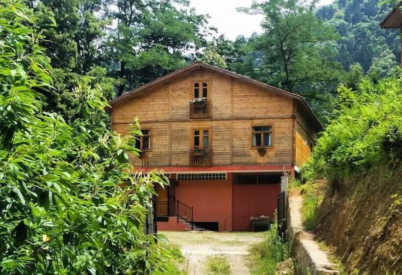 فندق The High Trees