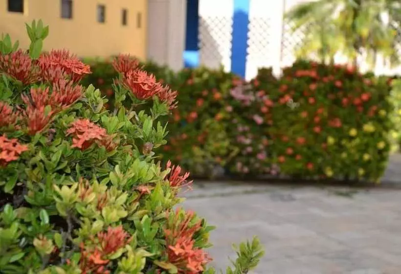 Novo Hotel Jk