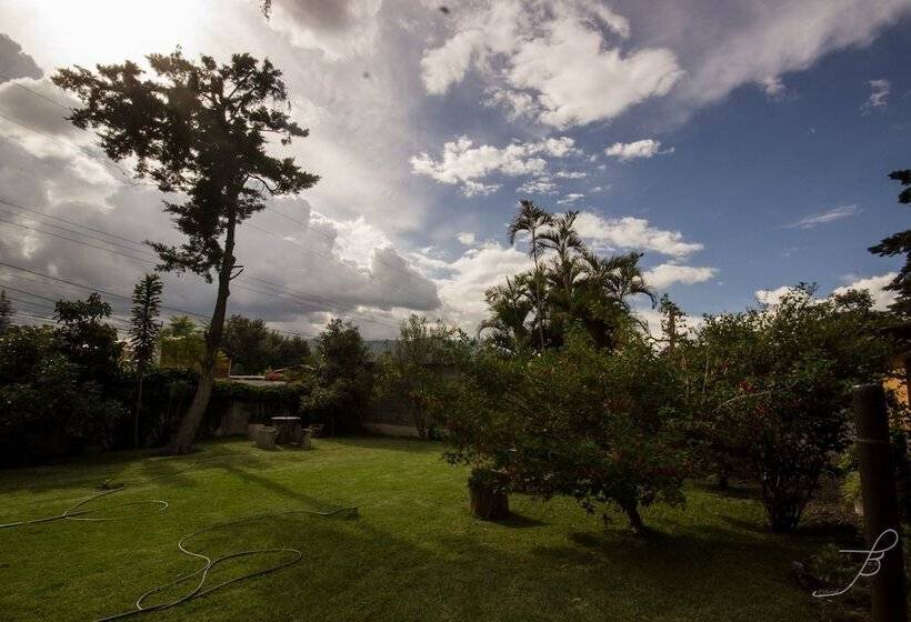 پانسیون Casa Mirella