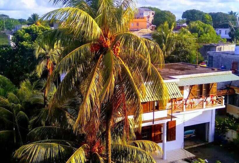 Pensjonat Golden Shell Residence