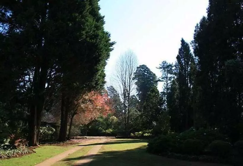 Majatalo Thatchings Guest House
