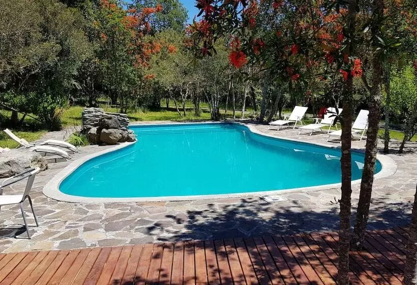 تختخواب و صبحانه Bambulodge