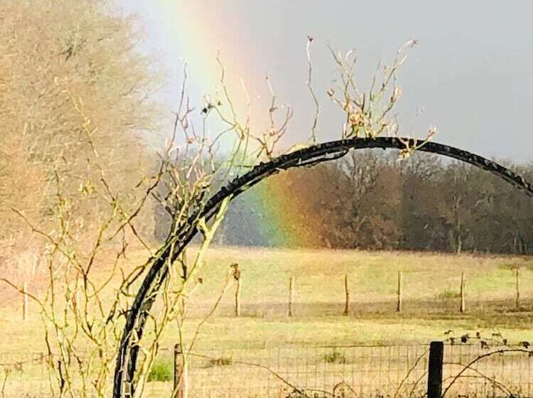 ベッドアンドブレックファースト Chambres D Hôtes Coeur Et Nature