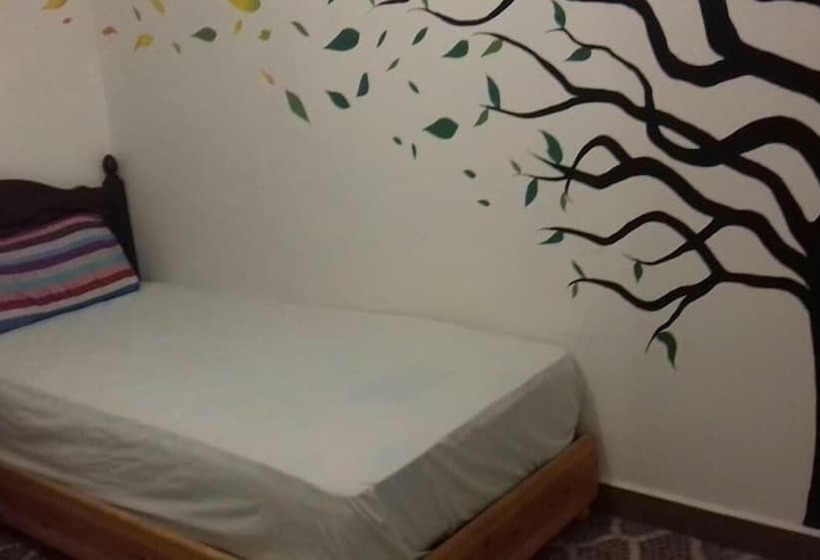 Gite Café Rueda Hostel