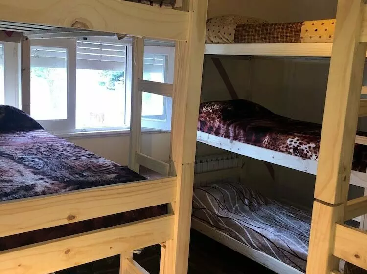 Hostel Freelife