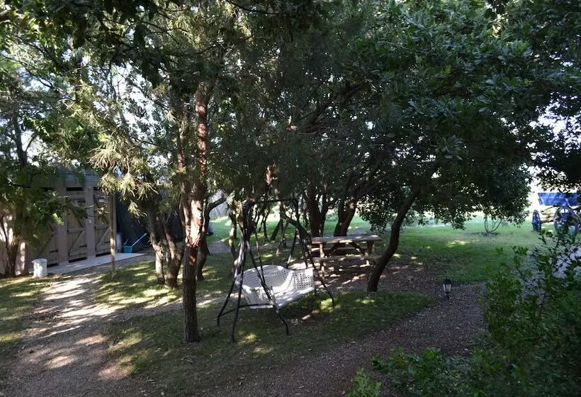 Hotelli Assos Batik Iskele Beach