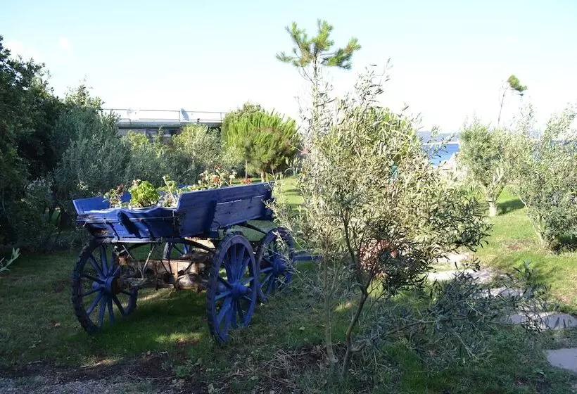 Hotelli Assos Batik Iskele Beach