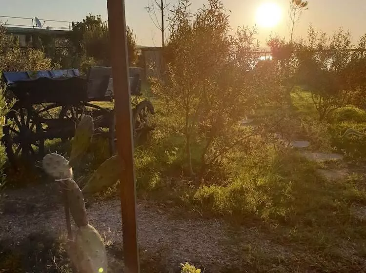 Hotelli Assos Batik Iskele Beach