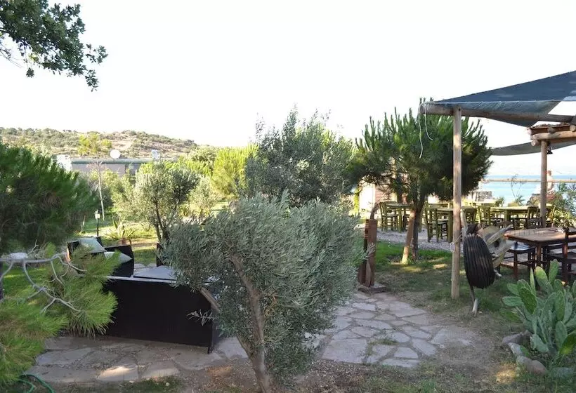 Hotelli Assos Batik Iskele Beach