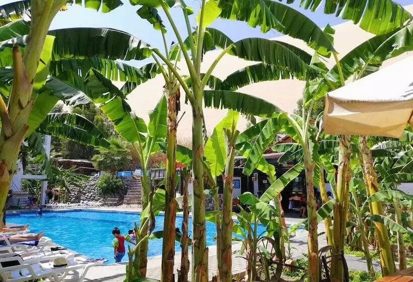 هتل Carola Lodge