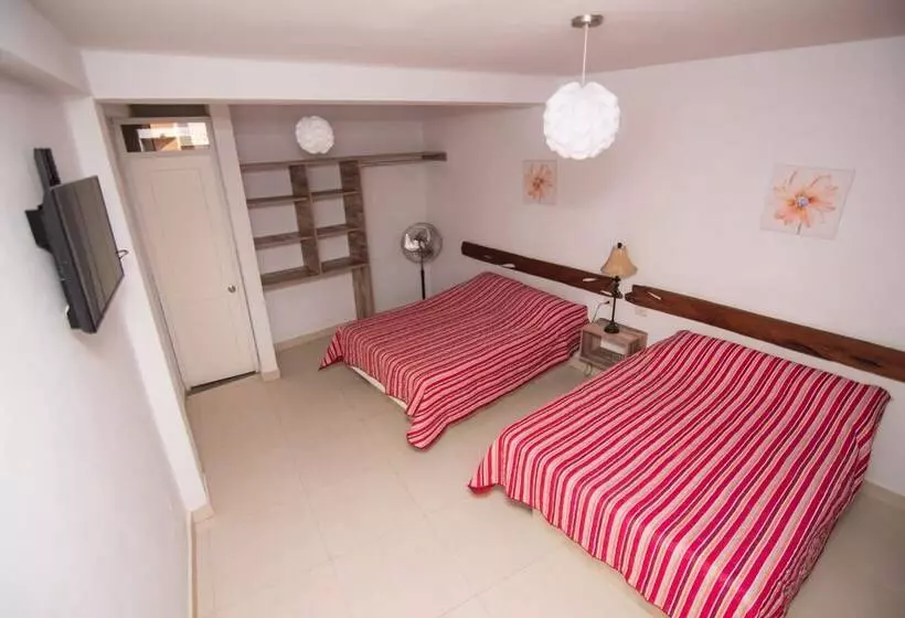 هتل Carola Lodge