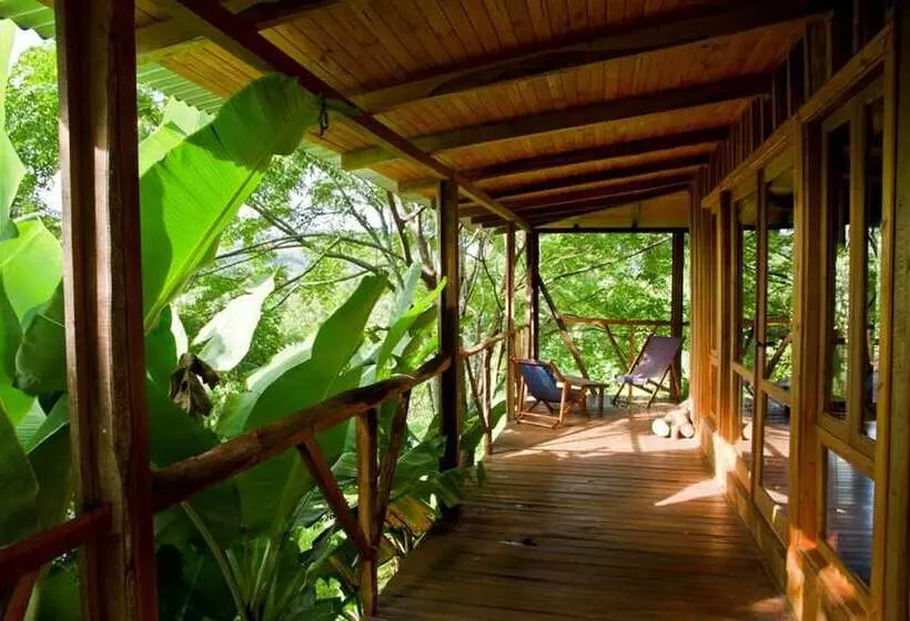 ホテル Yacaratia Lodge