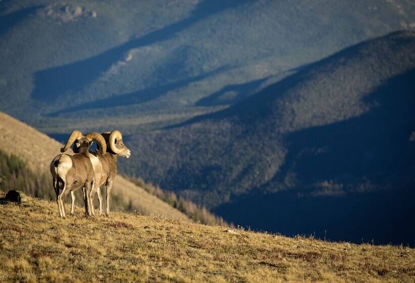 Murphy S Riverside    Ev #3178 2 Bedroom Cottage By Redawning