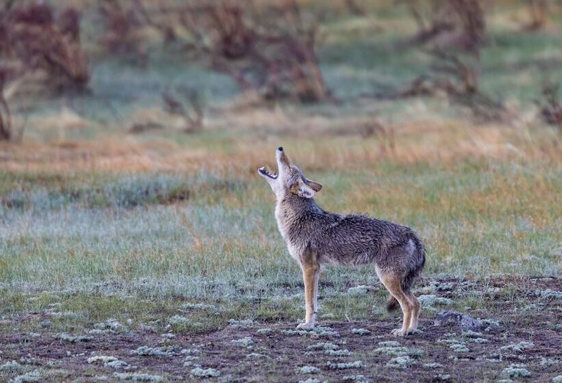 Murphy S Riverside    Ev #3178 2 Bedroom Cottage By Redawning