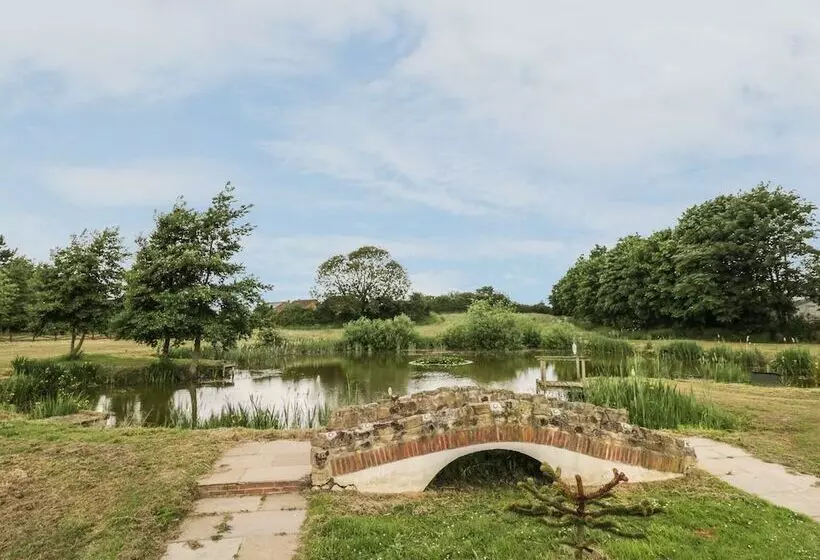 Pond View