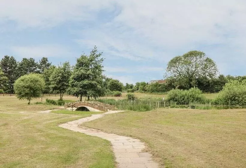 Pond View