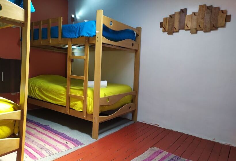 旅馆 The Chusay Rooftop