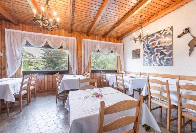 酒店 Albergo Cinzia