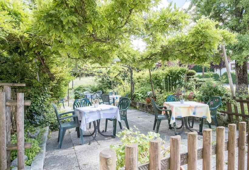 酒店 Albergo Cinzia