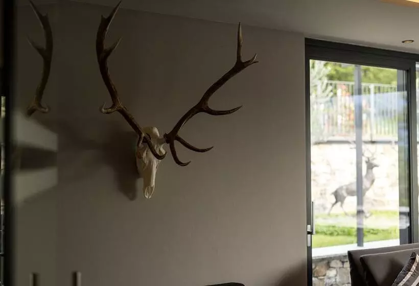 Отель Finkenhof  Feel At Home