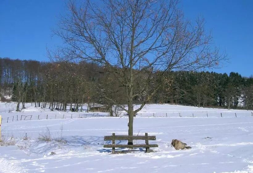 ホテル Fritz'es Goldener Stern