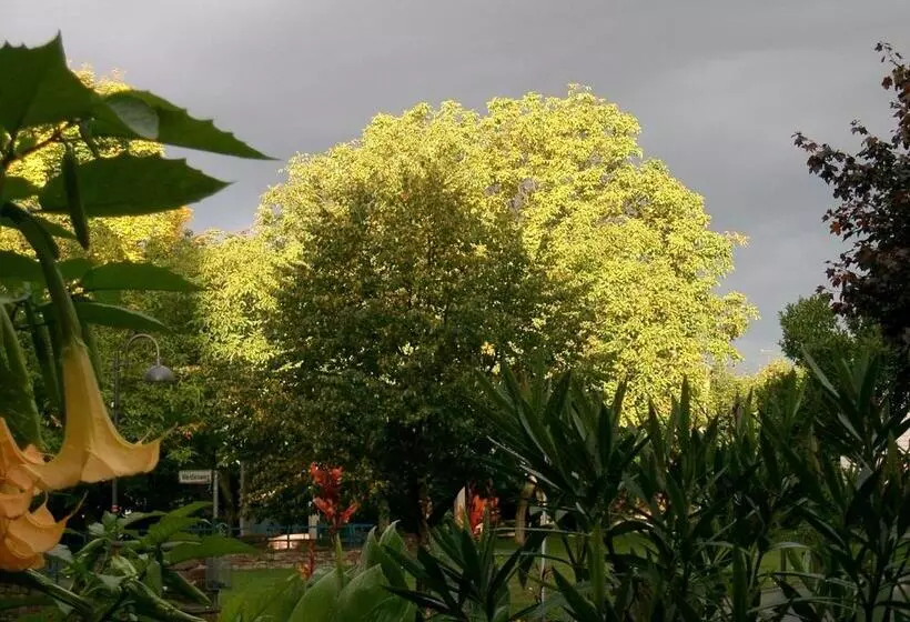 ホテル Fritz'es Goldener Stern