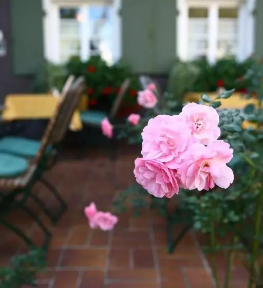 酒店 Hofgut Himmelreich