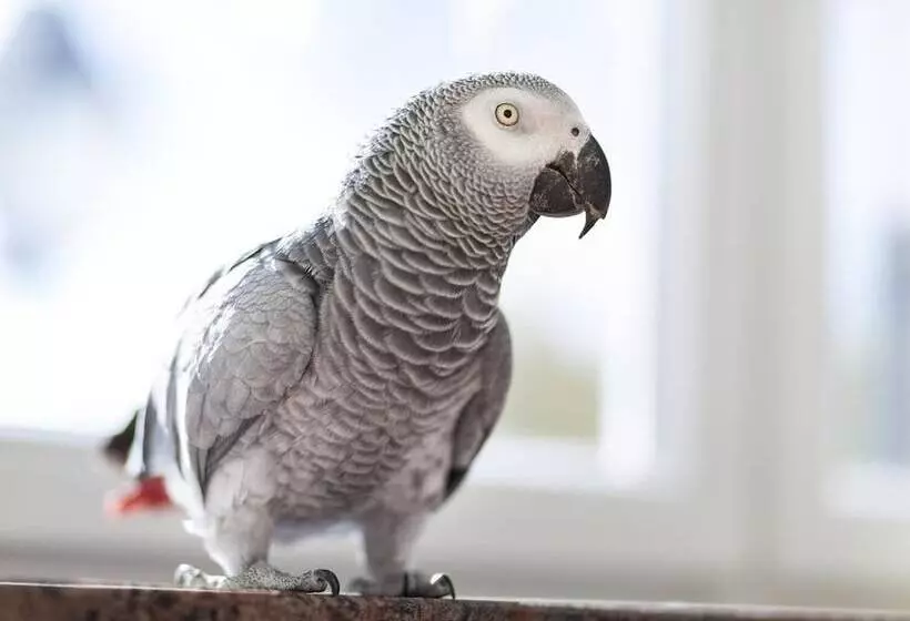 Kurhaushotel Bad Salzhausen